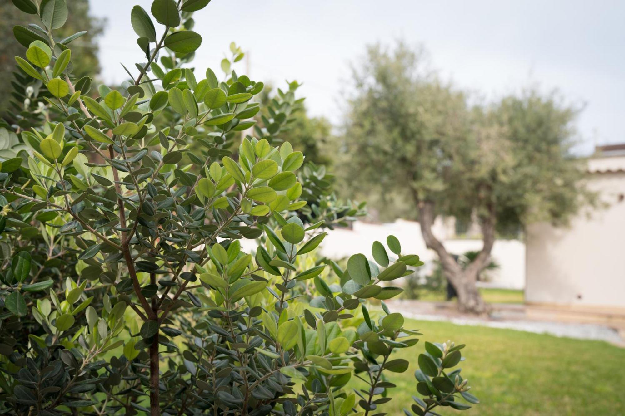 B&B La Manica Milazzo Kültér fotó